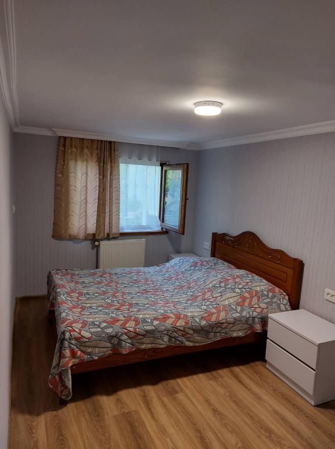 Davids entire place Bordzjomi Buitenkant foto